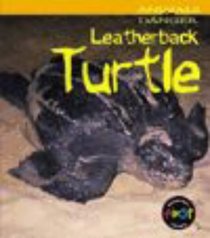 Leatherback Turtle (Animals in Danger)