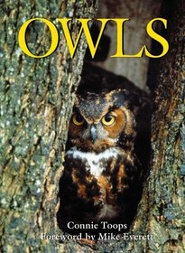 Owls (Voyageur Wilderness Books)