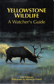Yellowstone Wildlife: A Watcher's Guide
