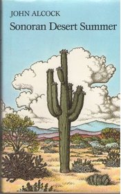 Sonoran Desert Summer