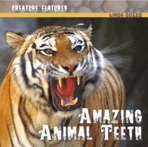 Amazing Animal Teeth (Creature Features)