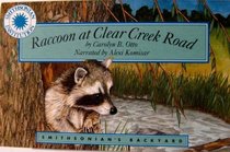 Raccoon At Clear Creek Road