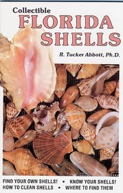 Collectible Florida Shells