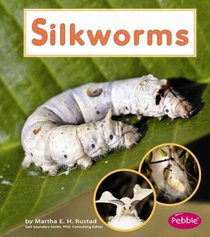 Silkworms (Pebble Books)