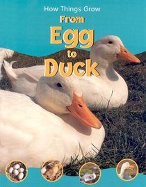 How Things Grow From Egg to Duck