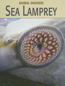 Sea Lamprey (Animal Invaders)