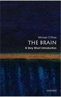 The Brain: A Very Short Introduction