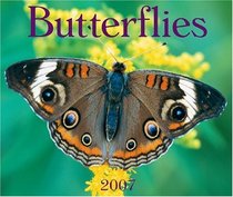 Butterflies 2007 (Calendar)