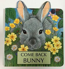 Come Back Bunny (Hide-and-Seek Series)