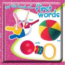 My Big Book of First Words