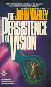 The Persistence of Vision