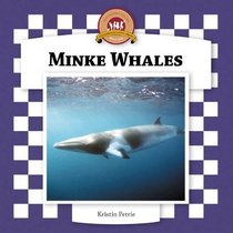 Minke Whales (Whales Set II)