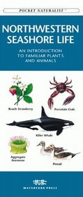 Northwestern Seashore Life: An Introduction to Familiar Plants and Animals (Pocket Naturalism Series)