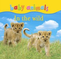 Baby Animals In the Wild