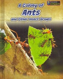 A Colony of Ants: and Other Insect Groups (Heinemann Infosearch)