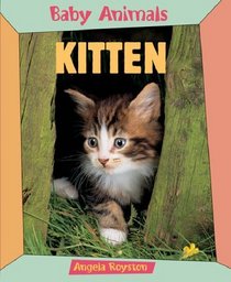 Kitten (Baby Animals)