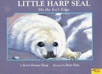 Little Harp Seal: On the Ice's Edge
