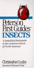 Peterson First Guide to Insects of North America (Peterson First Guides)