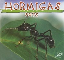 Hormigas: Ants (Biblioteca Del Descubrimiento De Los Insectos/Insects Discovery Library) (Spanish Edition)