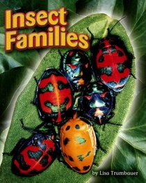 Insect Families (Shutterbug Books)