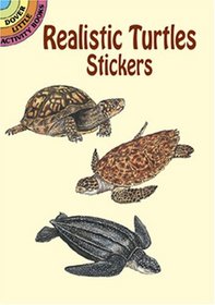 Realistic Turtles Stickers (Dover Little Activity Books)