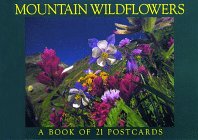 Mountain Wildflowers