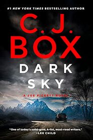 Dark Sky (Joe Pickett, Bk 21)