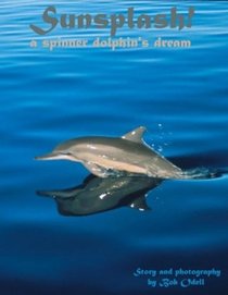 Sunsplash! a spinner dolphin's dream