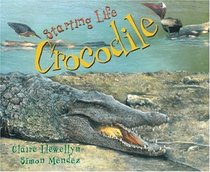 Starting Life: Crocodile (Starting Life)