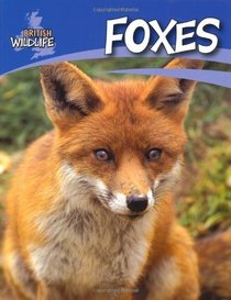 Foxes (British Wildlife)
