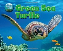 Green Sea Turtle (Deep End: Animal Life Underwater)
