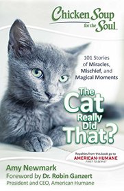 Chicken Soup for the Soul: The Cat Really Did That?: 101 Stories of Miracles, Mischief and Magical Moments