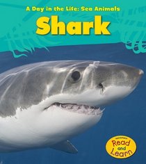 Shark (A Day in the Life: Sea Animals)