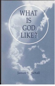 What Is God Like? (Michael Glazier Books)