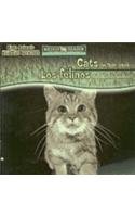 Cats Are Night Animals/Los Felinos Son Animales Nocturnos (Night Animals/ Animales Nocturnos) (Spanish Edition)