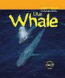 Whale (Animals in Danger)