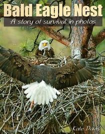 Bald Eagle Nest: A Story of Survival in Photos