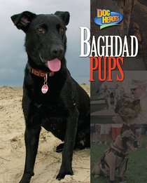 Baghdad Pups (Dog Heroes)