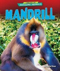 Mandrill (Library of Awesome Animals)