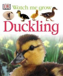 Duckling (Watch Me Grow)