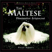 The Maltese : Diminutive Aristocrat