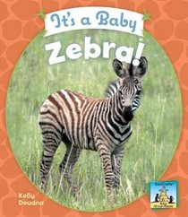 It's a Baby Zebra! (Baby African Animals)