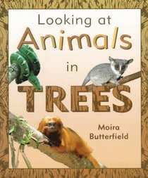 In Trees (Looking at Animals)