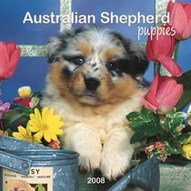 Australian Shepherd Puppies 2008 Mini Wall Calendar (German, French, Spanish and English Edition)