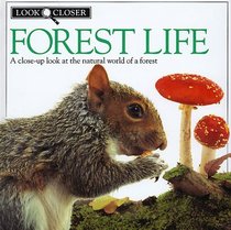 Look Closer: Forest Life