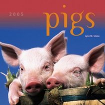 Pigs 2005 Calendar