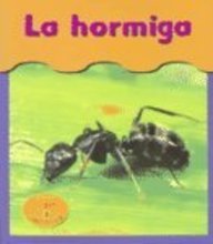 La Hormiga/ants (Bajo Mis Pies / Under My Feet) (Spanish Edition)