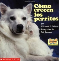 How Puppies Grow (como Crecen Los P Erritos) (Spanish Edition)
