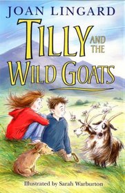 Tilly's Big Plan (Younger Fiction)