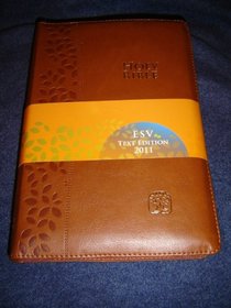 BROWN Leather Bound MODERN CHINESE - ENGLISH Bilingual Holy Bible / CNV - ESV / Cross Zipper, Golden Edges / Chinese New Version - English Standard Version / Shen Edition
